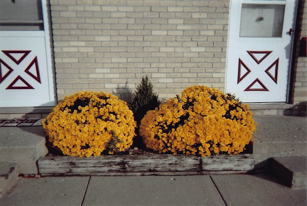 Home Coronado Gardens Cooperative