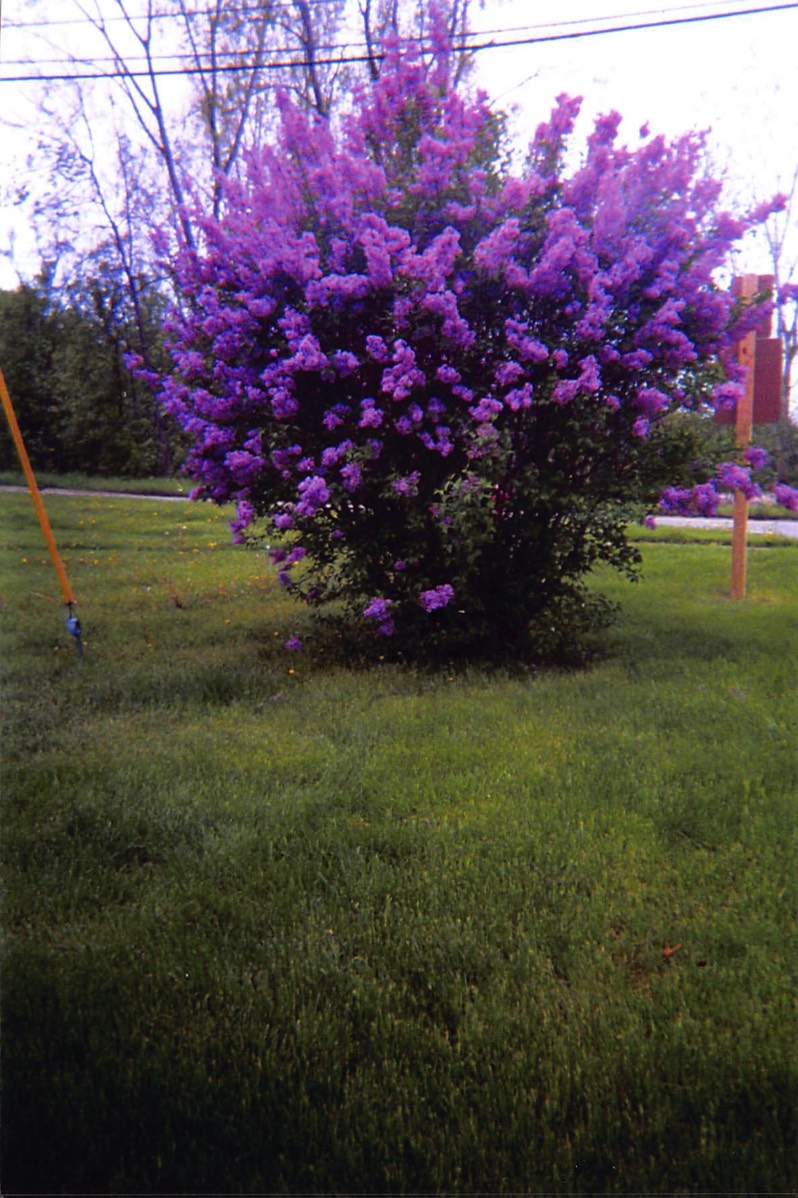 Home Coronado Gardens Cooperative